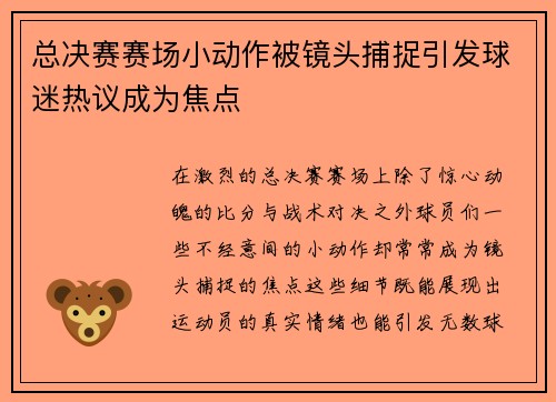 总决赛赛场小动作被镜头捕捉引发球迷热议成为焦点