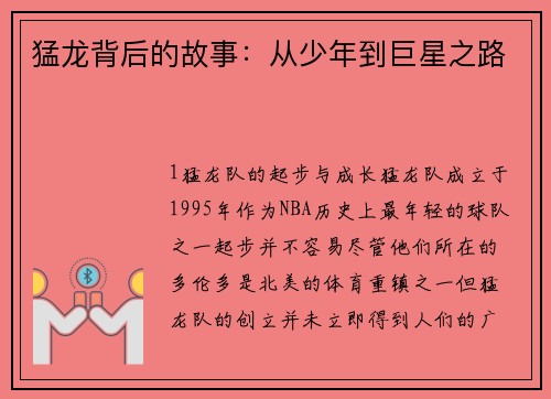 猛龙背后的故事：从少年到巨星之路